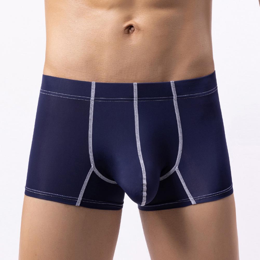 Pouch Boxer Pouch - Ice Silk Men\\\'s Underwear Boxer Briefs