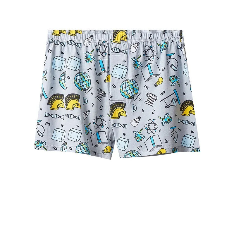 Mens Boxers Cotton Aro Pants S - đánh giá và giá Boxer Brief Pack Cotton